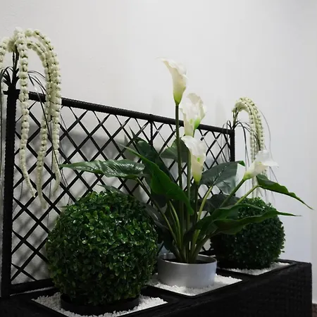 Apartment Zona